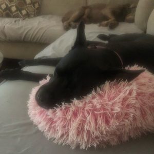 Meet your Posher, Jill